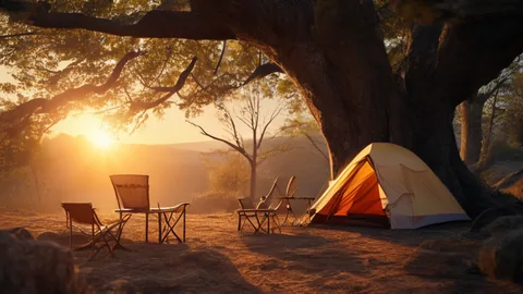 Guía de camping 2026: 4 categorías clave para principiantes