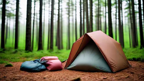 Équipement de camping : 4 piliers pour un budget maîtrisé