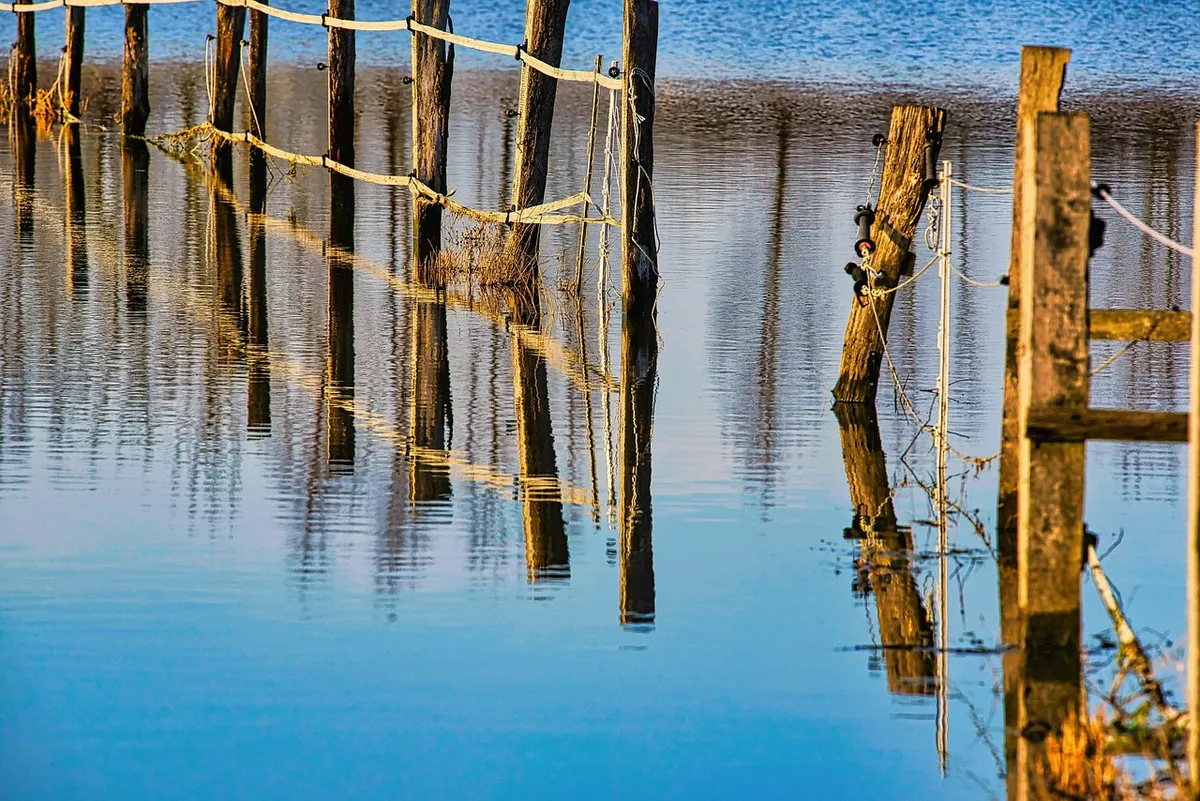 fence, flooding, water, flood, climate change, flood disaster, flooded, meadow, nature, coupling, landscape, rural, countryside