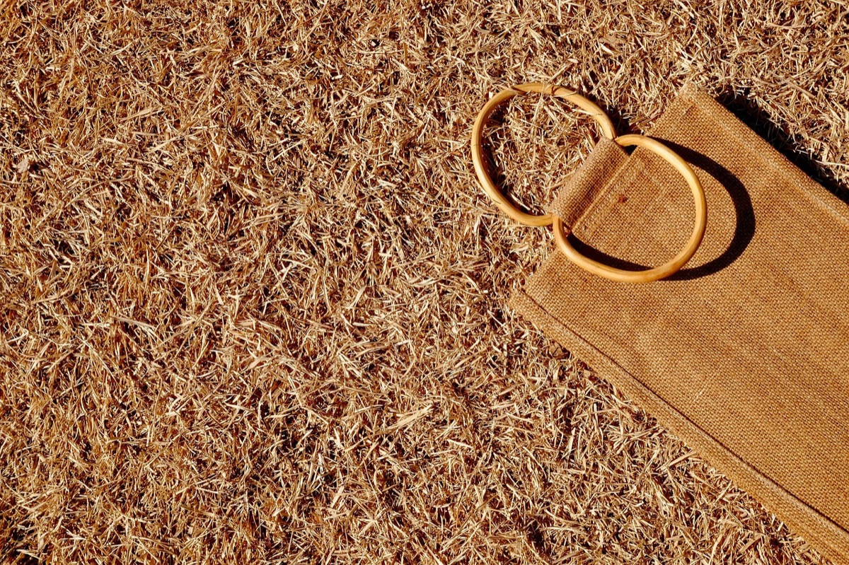 dica para escolher um cadie bag para inverno