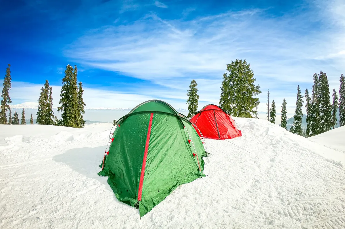 Colorful tents pitched in a snowy forest landscape, capturing the essence of winter camping.