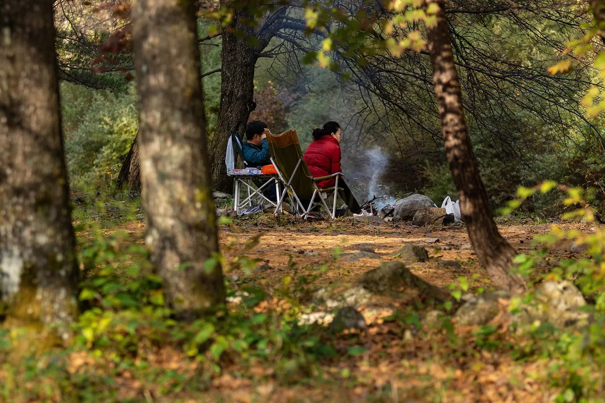 autumn, camping, camp fire, smoke, color, landscape, picnic, outdoor, travel, together, brown fire, brown smoke, brown camping, brown together, camping, camping