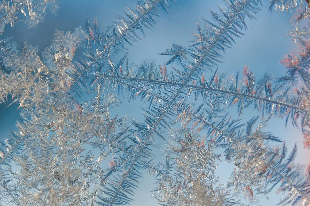 winter, frost, nature, texture, macro, ice crystals, winter, winter, winter, winter, winter, frost, frost, frost, texture, texture