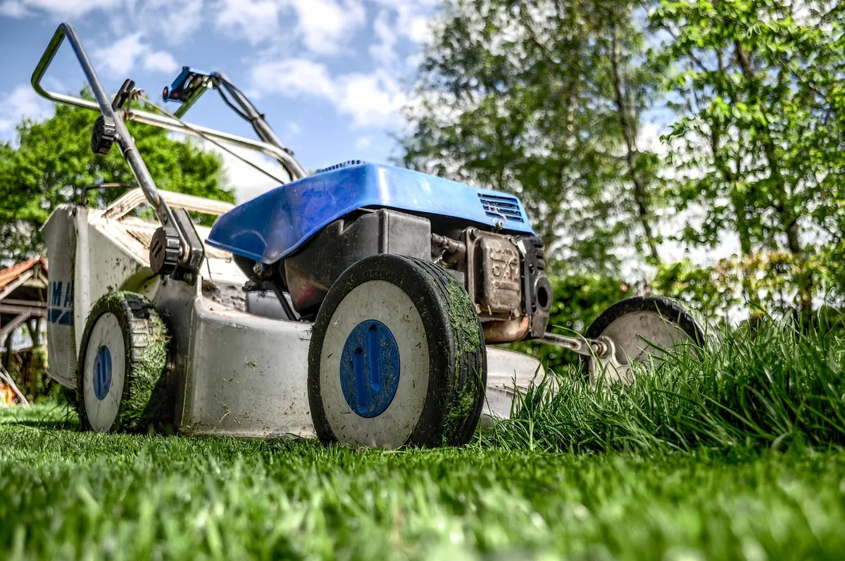 lawn mower, grass, garden, front yard, gardening, lawn-mower chassis, lawn, cutting, nature, gardener, equipment, machine, backyard, mower, maintenance, yard