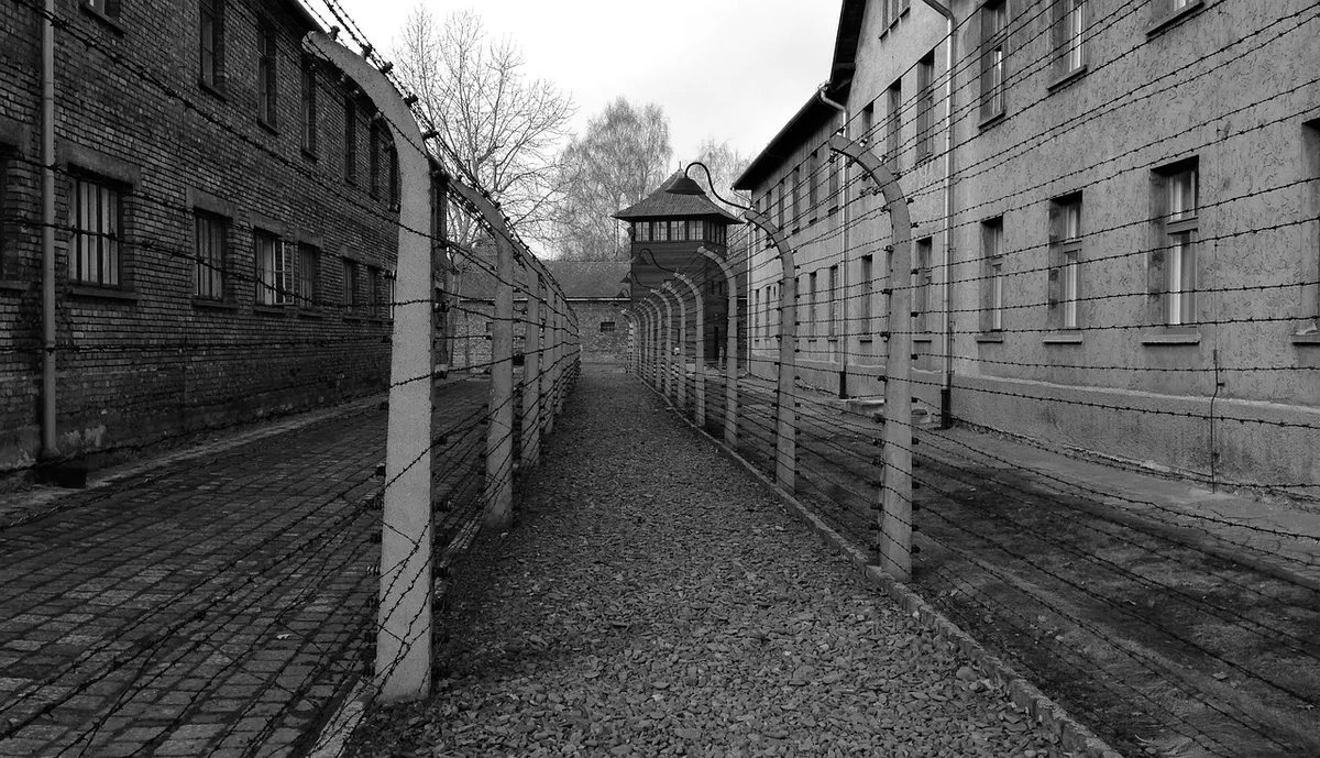 auschwitz, camp, concentration camp, history, the museum, auschwitz, auschwitz, auschwitz, auschwitz, auschwitz, concentration camp