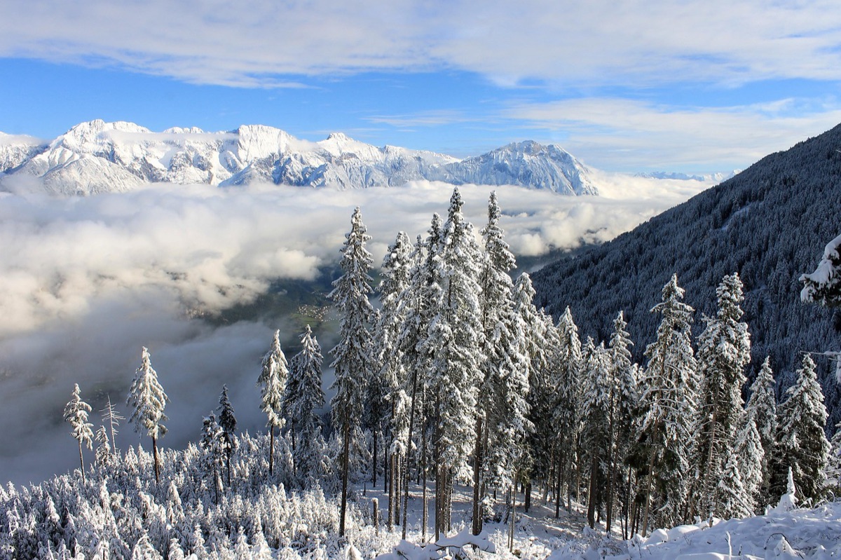 Wintercamping-Caddybag mit Schnee