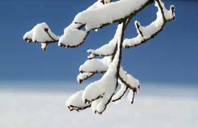 冬のキャンプ キャディバッグ徹底比較！耐久性と走行性能を両立させる方法