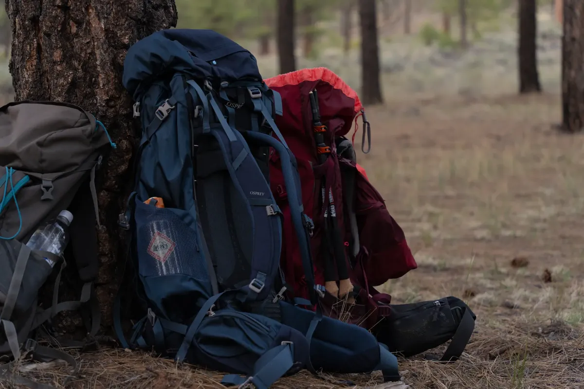 Adventure backpacks leaning against a tree in a peaceful forest campsite, ideal for hiking trips.