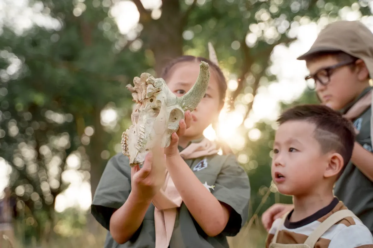 Children exploring nature, discovering an animal skull during a summer scout camp.