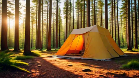 Tent Setup Guide: Master Your Gear in Under 15 Minutes