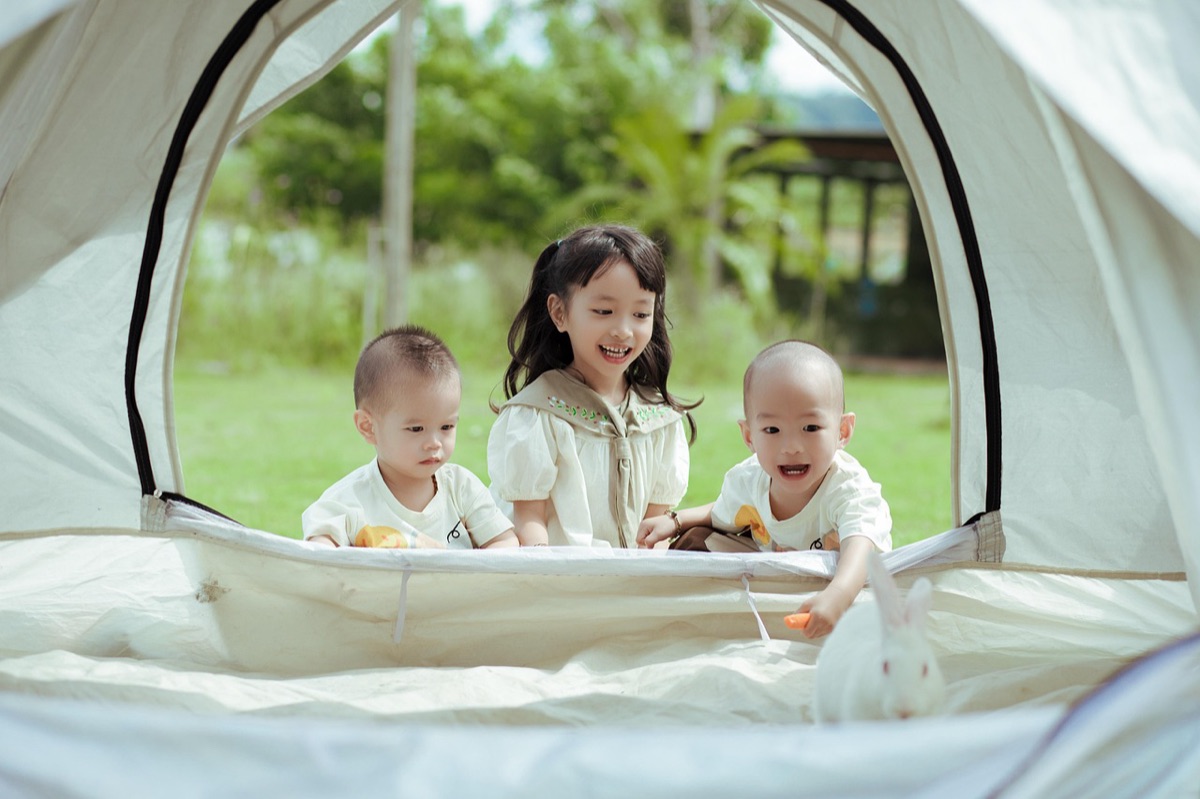 Various types of modern camping tents including dome and tunnel styles
